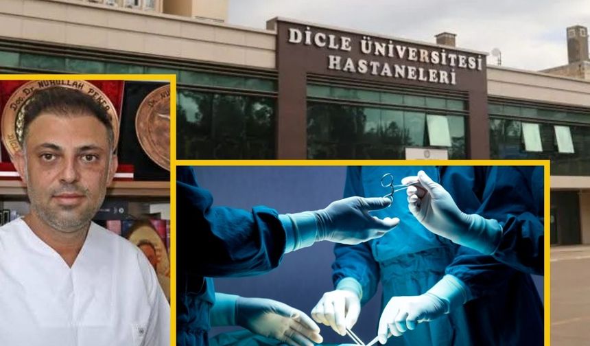 Diyarbakır Dicle Üniversitesi doktorundan tarihi başarı