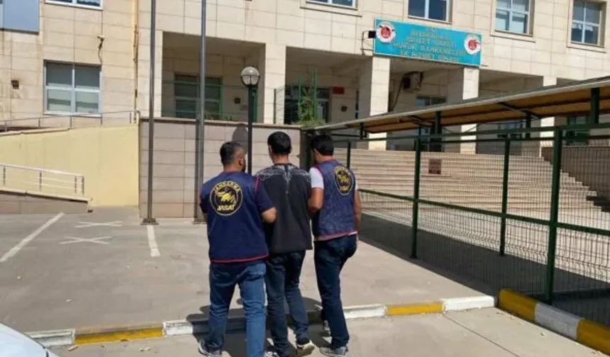 Diyarbakır’da jandarmadan aranan şahıslara operasyon: Gözaltılar var