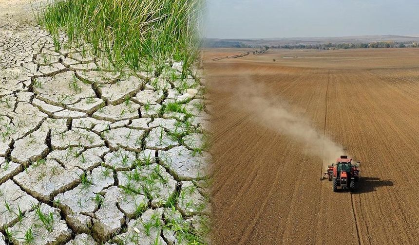 Diyarbakır’da 1,5 milyon dönüm arazi kuraklıktan etkilendi