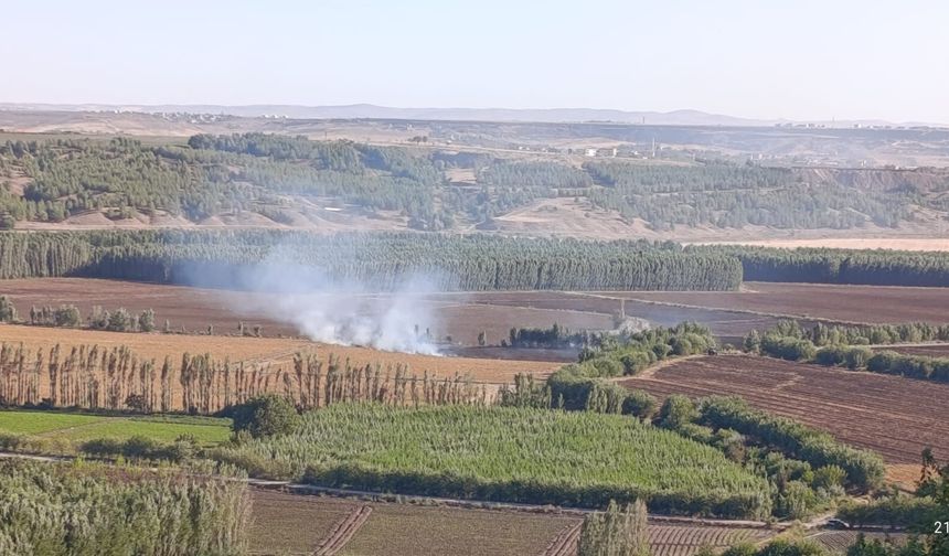 UNESCO Mirası Hevsel Bahçeleri'nde yangın
