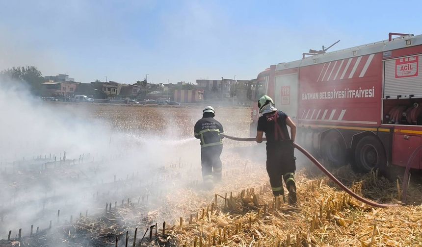 Anız yangını 20 dönüm tarlayı küle çevirdi