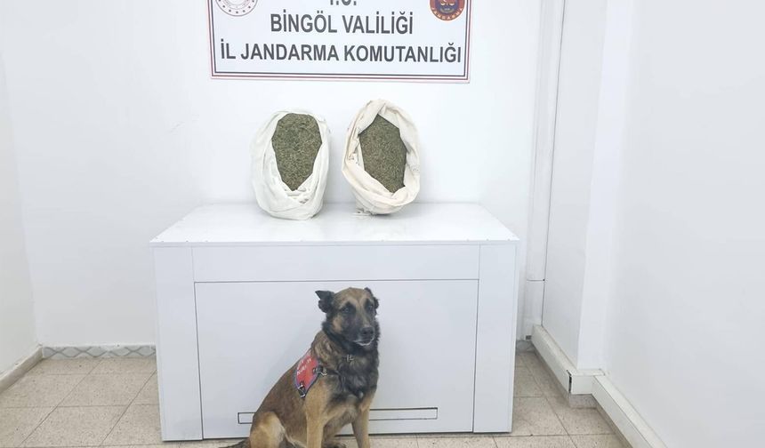Bingöl’de uyuşturucu operasyonu: 1 tutuklama