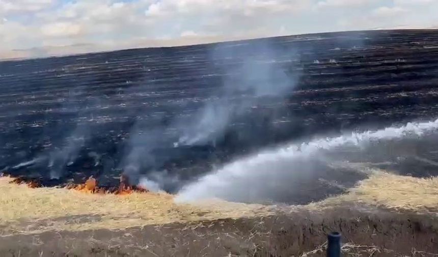 Diyarbakır’da anız yangını korkuttu