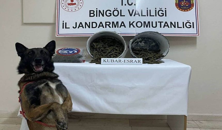 Bingöl’de 2 kilo esrar ele geçirildi