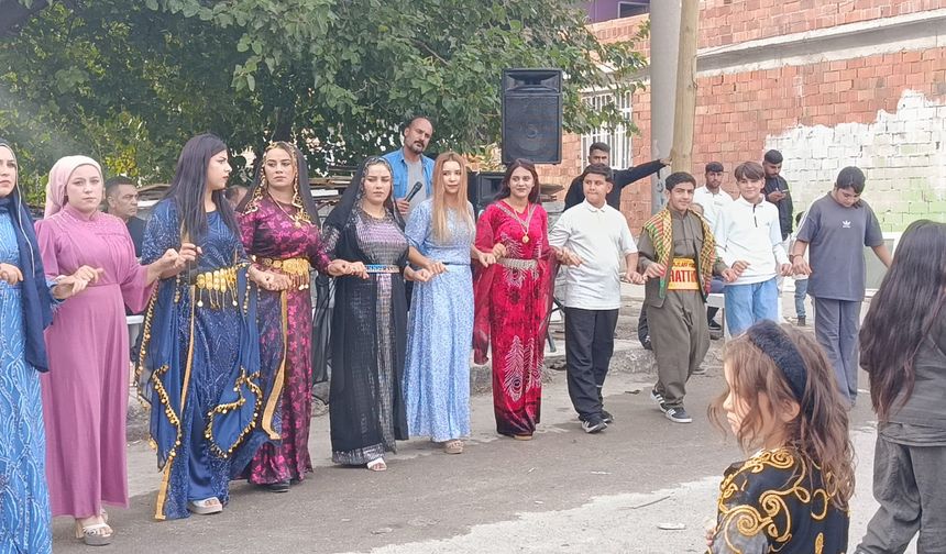 Diyarbakır’da renkli bir düğün: Domlar kültürlerini sokakta yaşatıyor