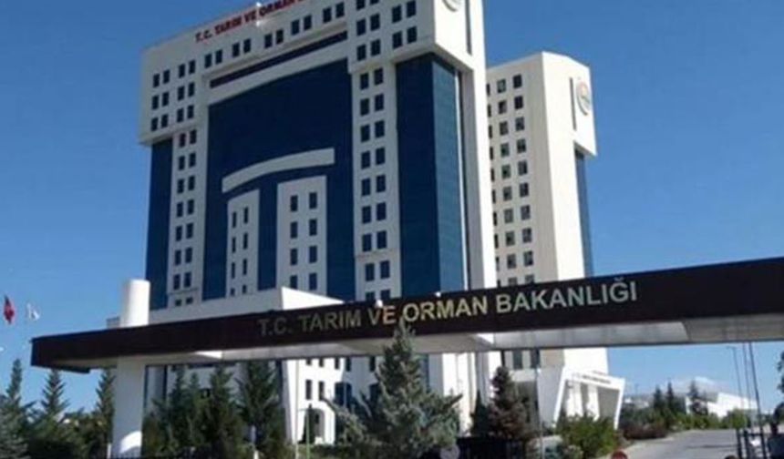 Gıda denetimlerinde 22 taklit ürün tespit edildi