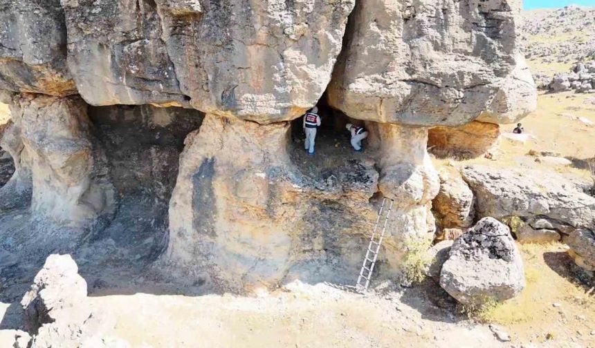 Diyarbakır'da cinayet zanlısı, kadını öldürdüğü yere 7 kez gitmiş