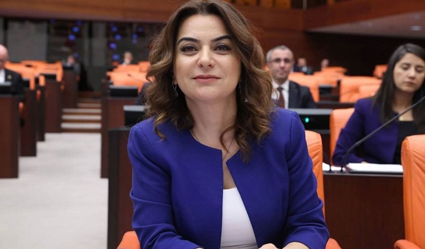 DEM Partili Koçyiğit: İmralı ziyaretiyle barış sürecinde yeni bir eşik aşıldı