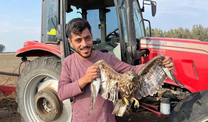 Hasadı bıraktı yaralı şahine yardım etti