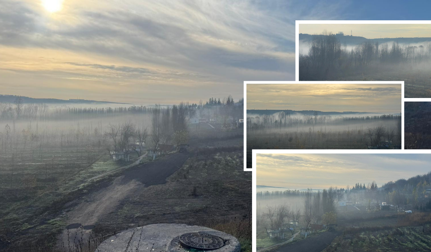 Sis Diyarbakır’ı büyüledi: Dicle Vadisi’nde kartpostallık manzara