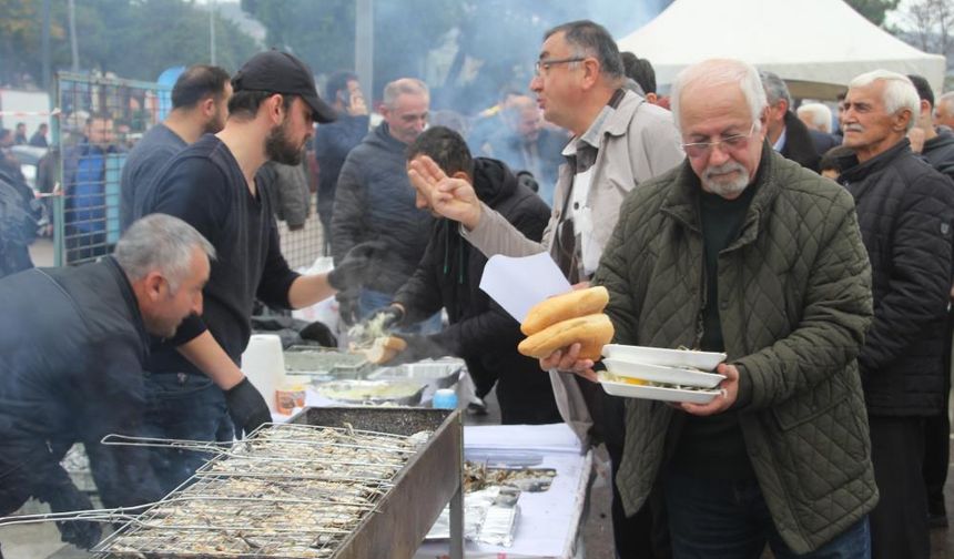 Hamsi festivalinde 7 ton hamsi tüketildi