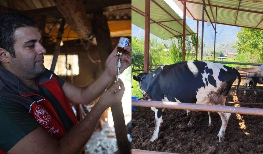 Muğla'da 11 mahalle karantinaya alındı