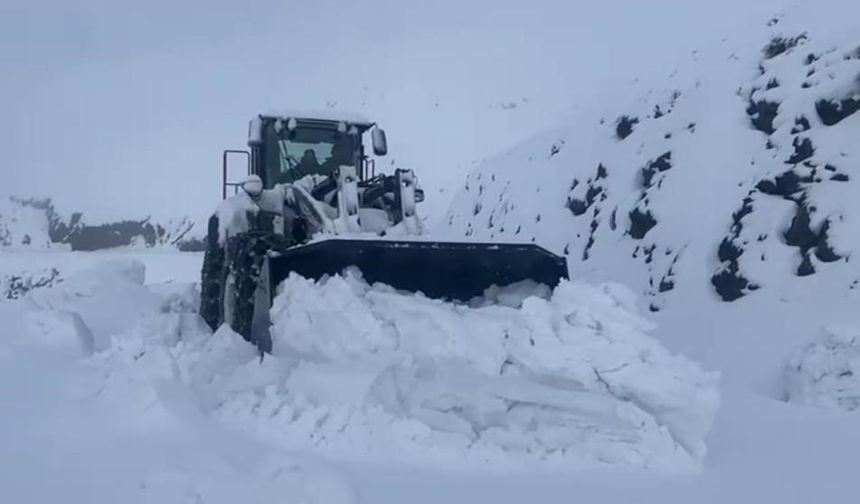 Şırnak'ta beyaz örtü yarım metreyi geçti