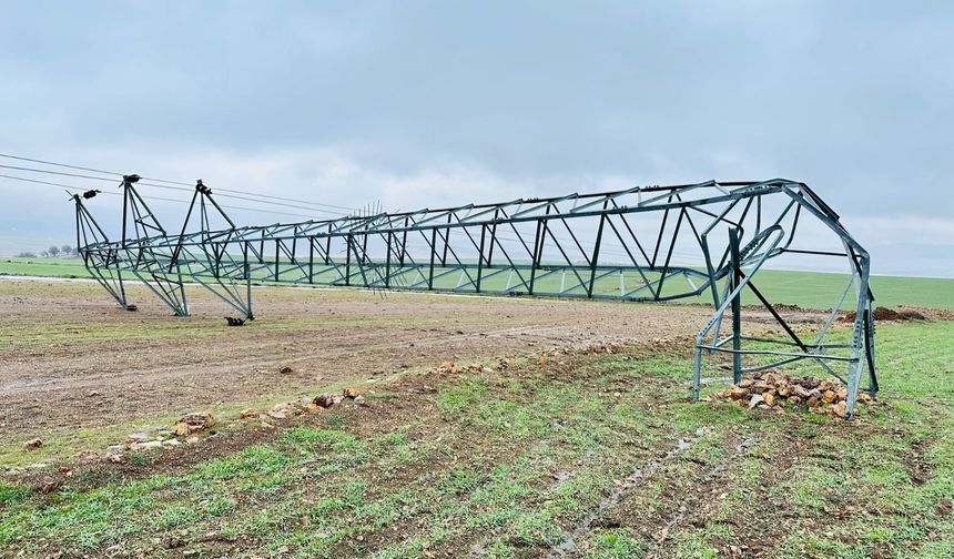 Mardin Derik’te elektrik hırsızlığı direkleri yıktı!
