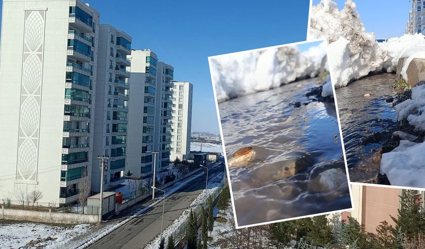 Soğuk günler geride mi kaldı? Diyarbakır’da güneş sevinci