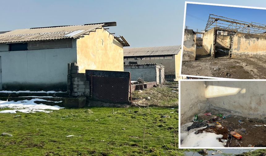 Diyarbakır Barış Mahallesi’nde 31 yıllık tehlike:  Metruk ahırlar sağlığı tehdit ediyor