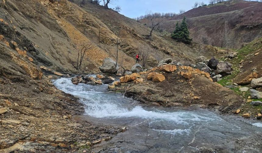 Diyarbakır’da 84 aşındaki Salih Ertaş 11 gündür kayıp