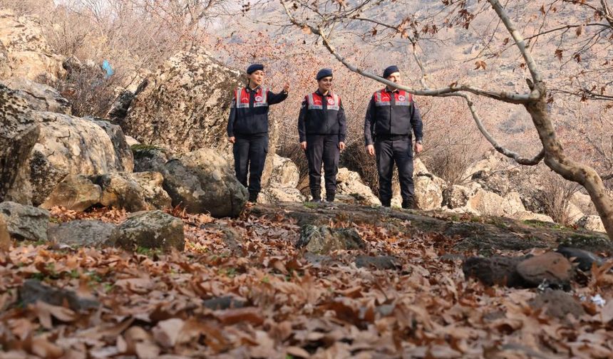 Diyarbakır’da ekolojik denge için seferberlik