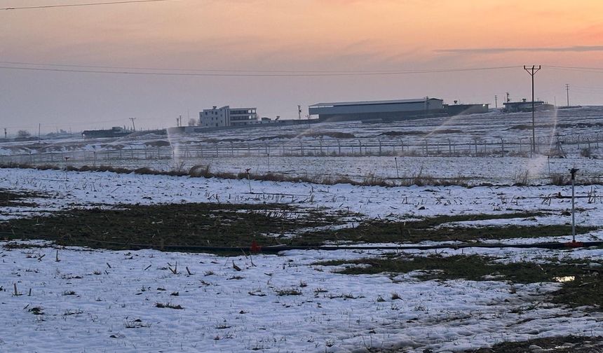 Bu görüntüler Şanlıurfa’dan: Kar var, sulama var, elektrik kaçak!