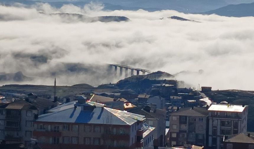 Diyarbakır Kulp'ta yoğun sis etkili oldu