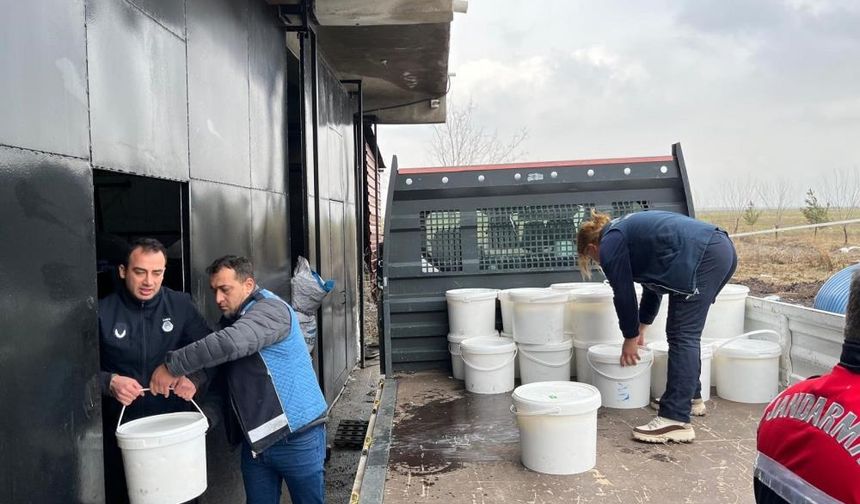 Diyarbakır’da gıda skandalı: 460 kilo peynir imha edildi