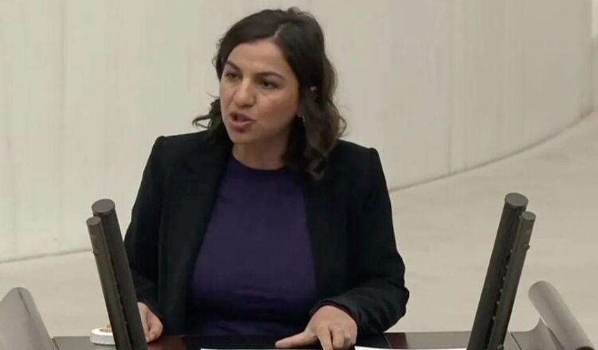 DEM’li Gökalp’ten Meclis’e Kürtçe eser çağrısı: Arapça diye tasnif ediliyor iddiası