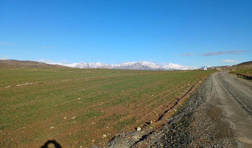 Diyarbakır’da toprak suya doydu: Çiftçi bereketli hasat bekliyor