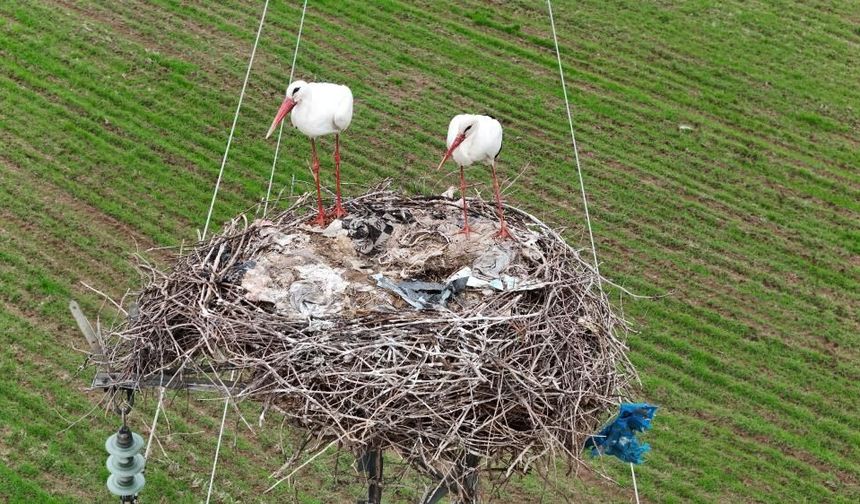 Diyarbakır semalarında heyecanlandıran görüntü!