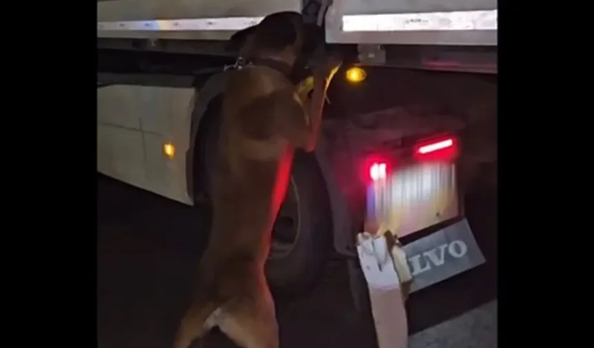 Diyarbakır’da şüpheli TIR takibe alındı: İçinden çıkanlar şoke etti!