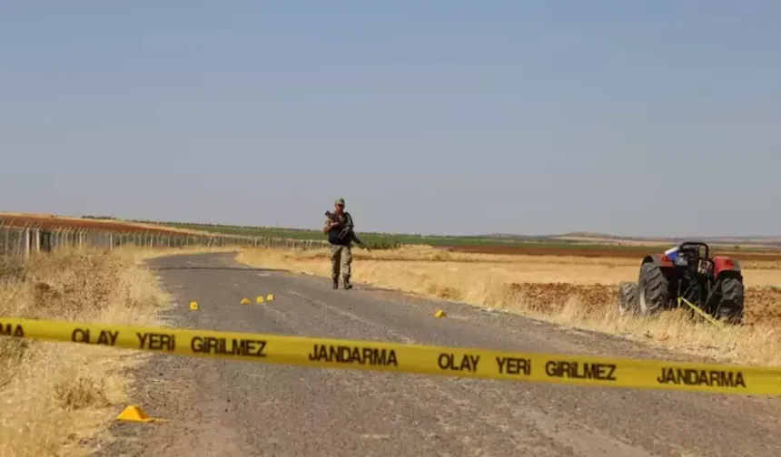 Diyarbakır Lice’de gizemli kemikler: 30 yıllık sır perdesi aralanıyor mu?