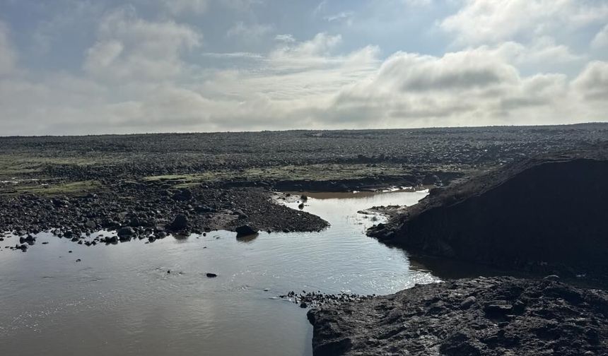 Diyarbakır'da gölet patladı, ekinler sular altında kaldı!