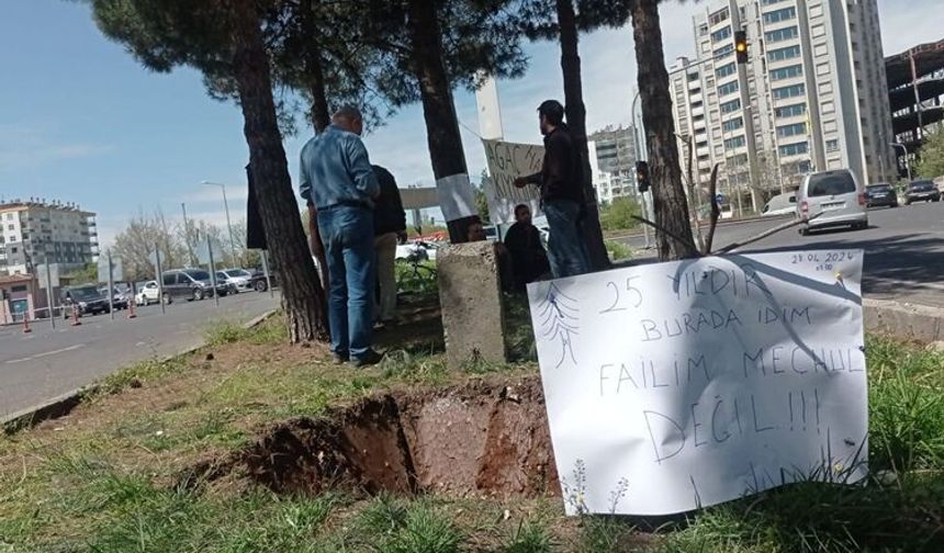 Diyarbakır Büyükşehir’den ‘ağaç kesimi’ tartışmalarına yanıt