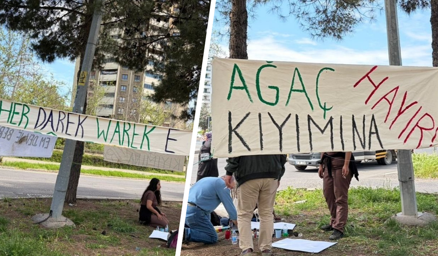 Diyarbakır’da ağaç sökümüne tepki