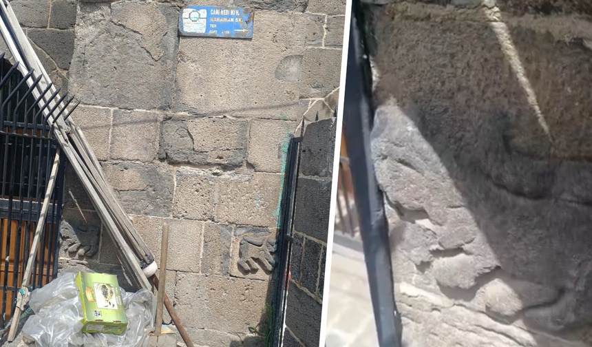 Diyarbakır’da Dağkapı Burcu’ndaki tarihi aslan motifleri çöpler arasında kaldı