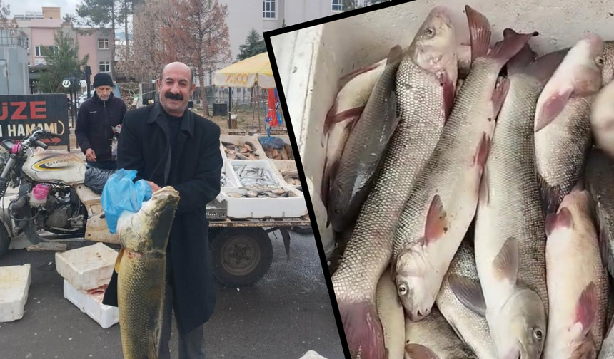 Diyarbakır’da balık avı yasaklandı