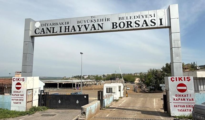 Diyarbakır Canlı Hayvan Borsası sil baştan yenileniyor