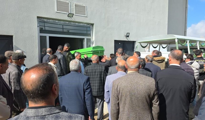 Van’da sokak köpeklerinin saldırısı: 5 yaşındaki Hamza öldü