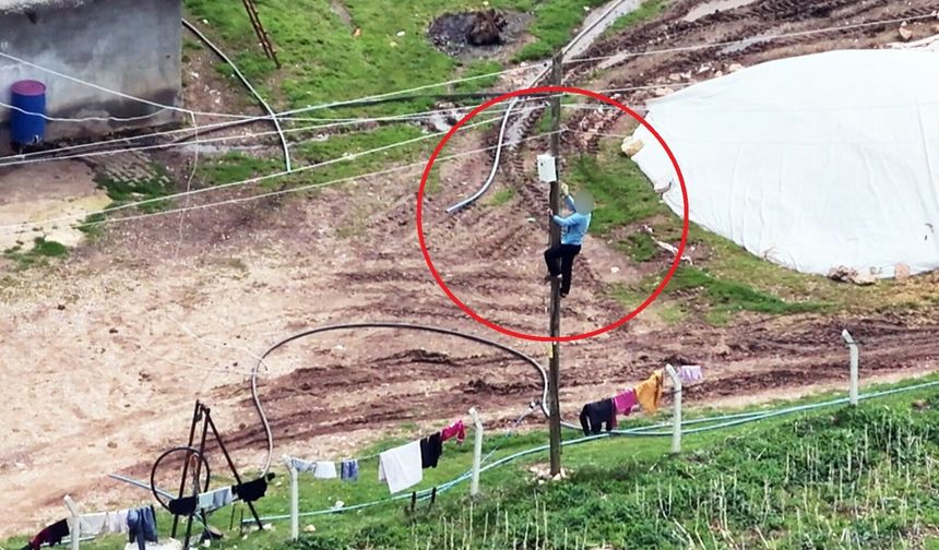 Diyarbakır’da kaçak elektrik operasyonu: Dronu görünce direğe tırmandı!