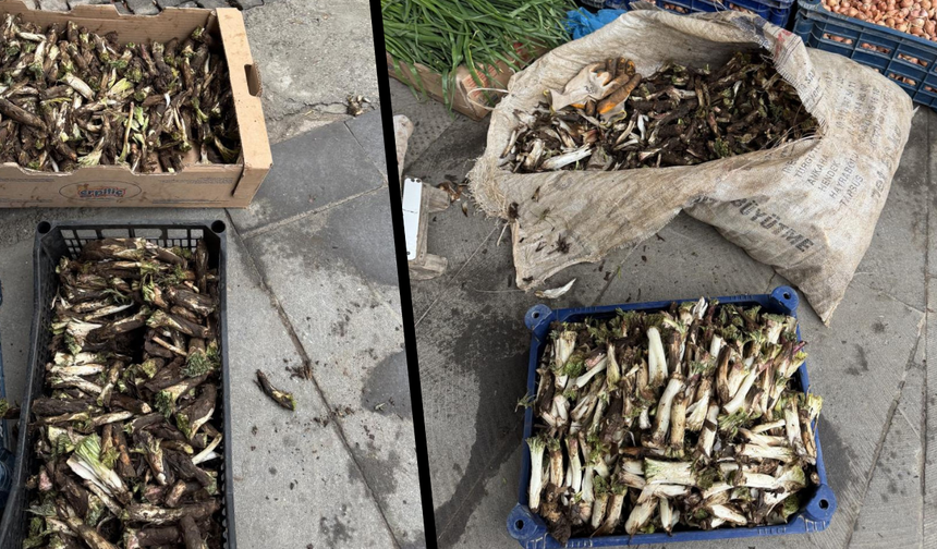 Diyarbakır’da kengerin fiyatı dudak uçuklatıyor