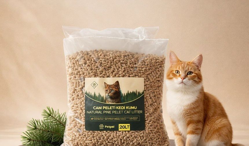 Petpel Çam Peleti Kedi Kumu ile Evde Daha Ferah ve Doğal Bir Kullanım