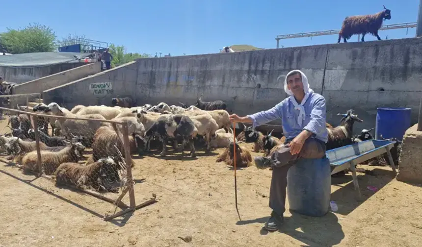 Diyarbakır’da bayramın ilk gününde hayvan borsasında yoğunluk