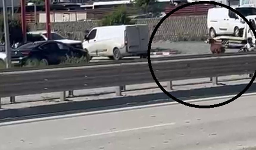 Orta refüjden atlayan kurbanlık keçi firar etti
