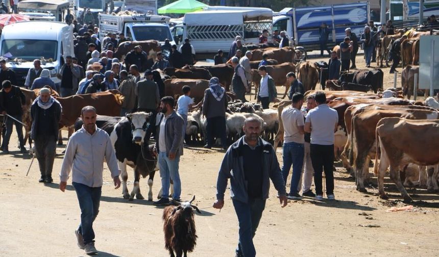 Diyarbakır canlı hayvan borsasında bayram bereketi
