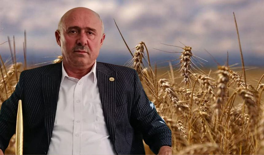 Diyarbakır’da Sur Ziraat Odası’ndan TMO’ya fiyat çağrısı!