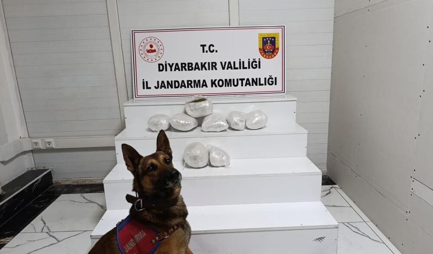 Diyarbakır'da narkotik operasyonu: Çok sayıda şüpheli hakkında yasal işlem