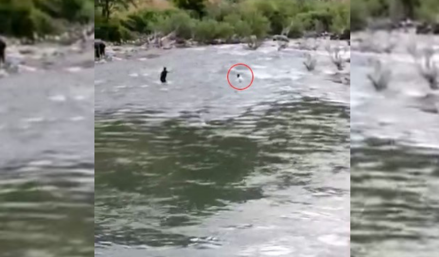 Diyarbakır ile Bingöl arasındaki çayda kaybolan şahsın görüntüleri ortaya çıktı