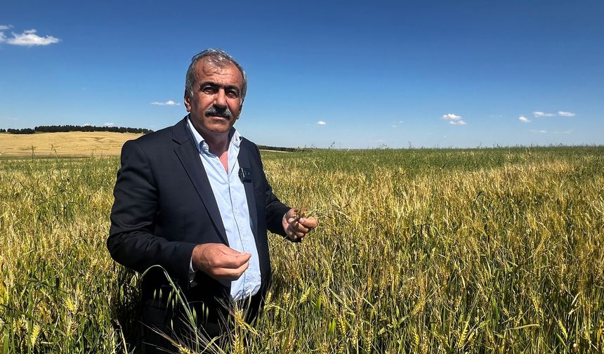 Diyarbakır’da dolu felaketi çiftçiyi vurdu