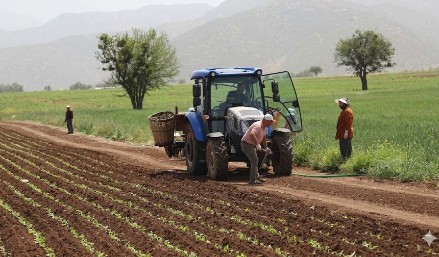 Diyarbakır’daki çiftçilere uyarı: İkinci ürün ekene su yok