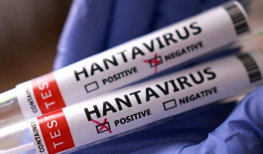 Hantavirüs salgınının yaşandığı gemi yeniden seferde