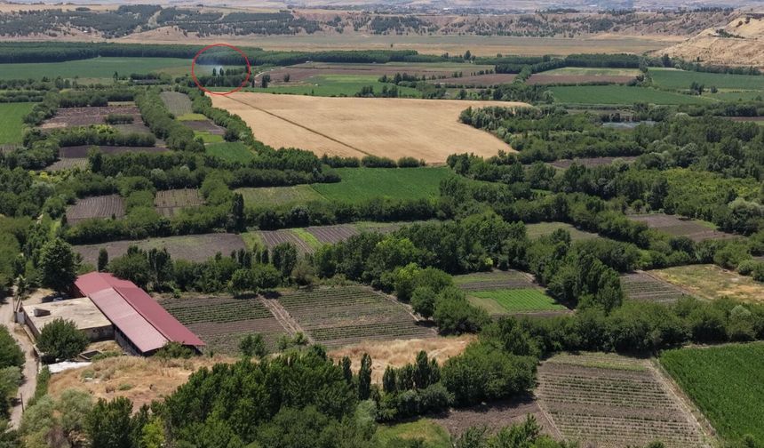Diyarbakır’ın sofrasını besleyen 8 bin yıllık miras: Hevsel Bahçeleri
